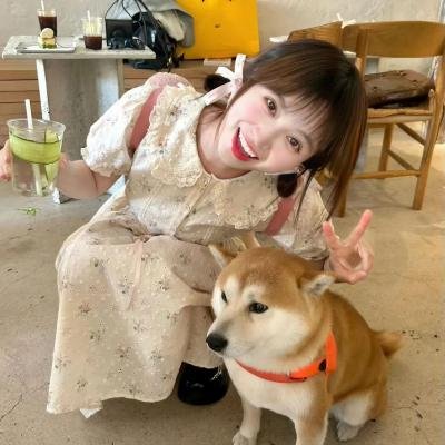 完美的主人