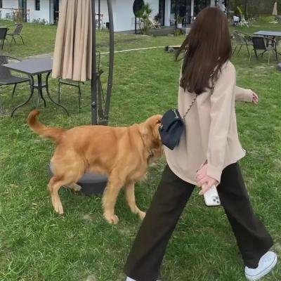 吟唱未来之歌